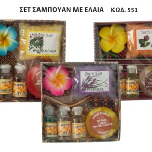 DIAFORA20EIDI2020Kod2020551.jpg