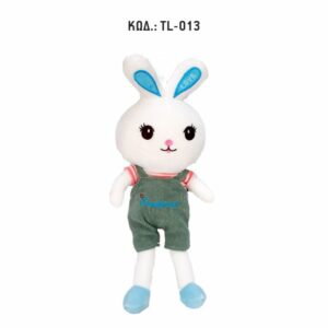 TL-013_ a