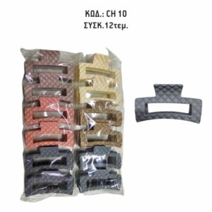 CH 10