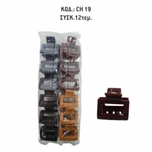 CH 19